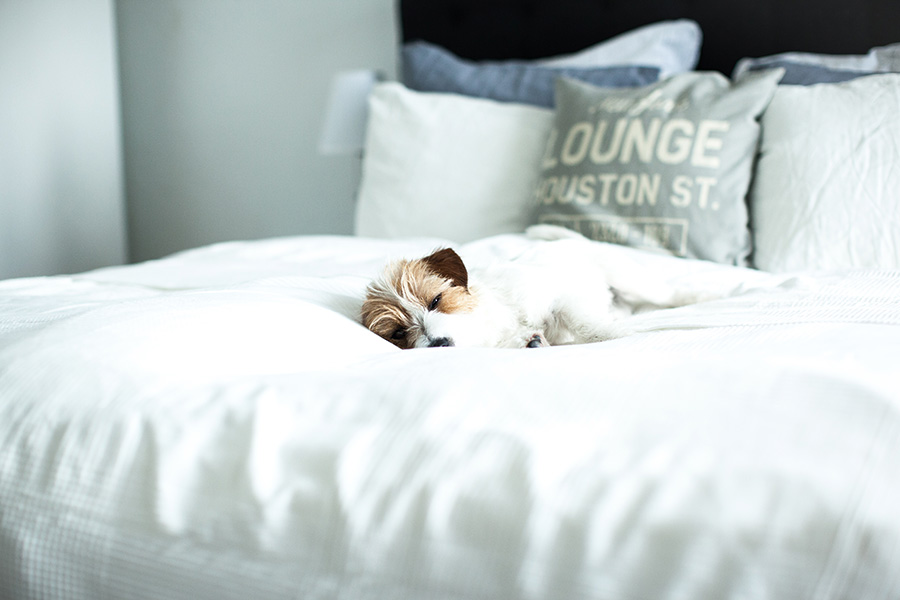 berries&passion_IKEA_Boxspringbett12