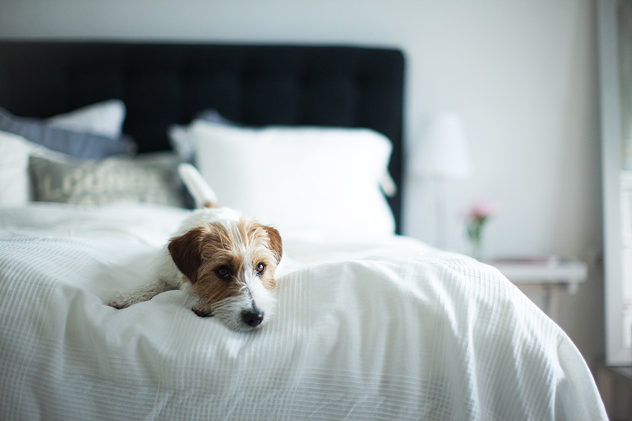 berries&passion_IKEA_Boxspringbett6