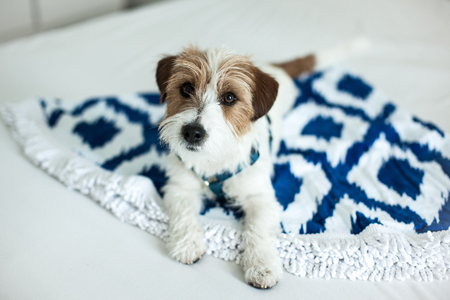 berries&passion_beachessentials6