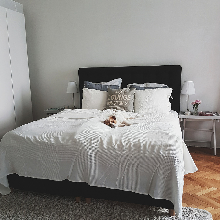 berries&passion_lifeupdate10