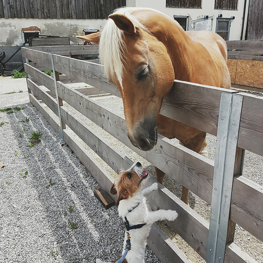 berries&passion_lifeupdate14