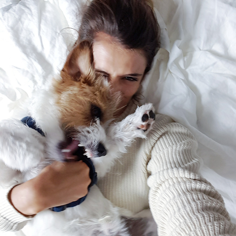 berries&passion_lifeupdate4