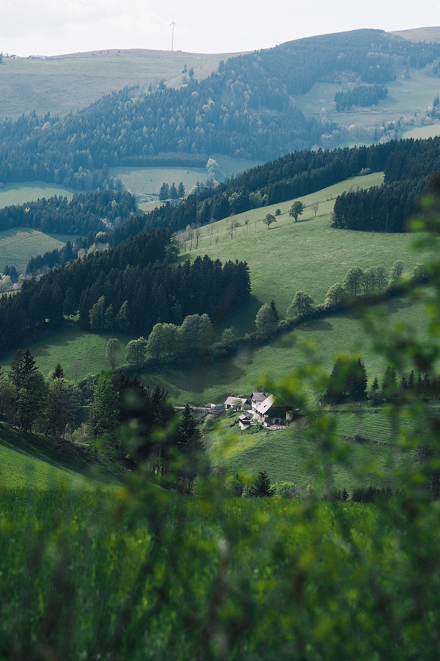 berries&passion_sundayfunday-2