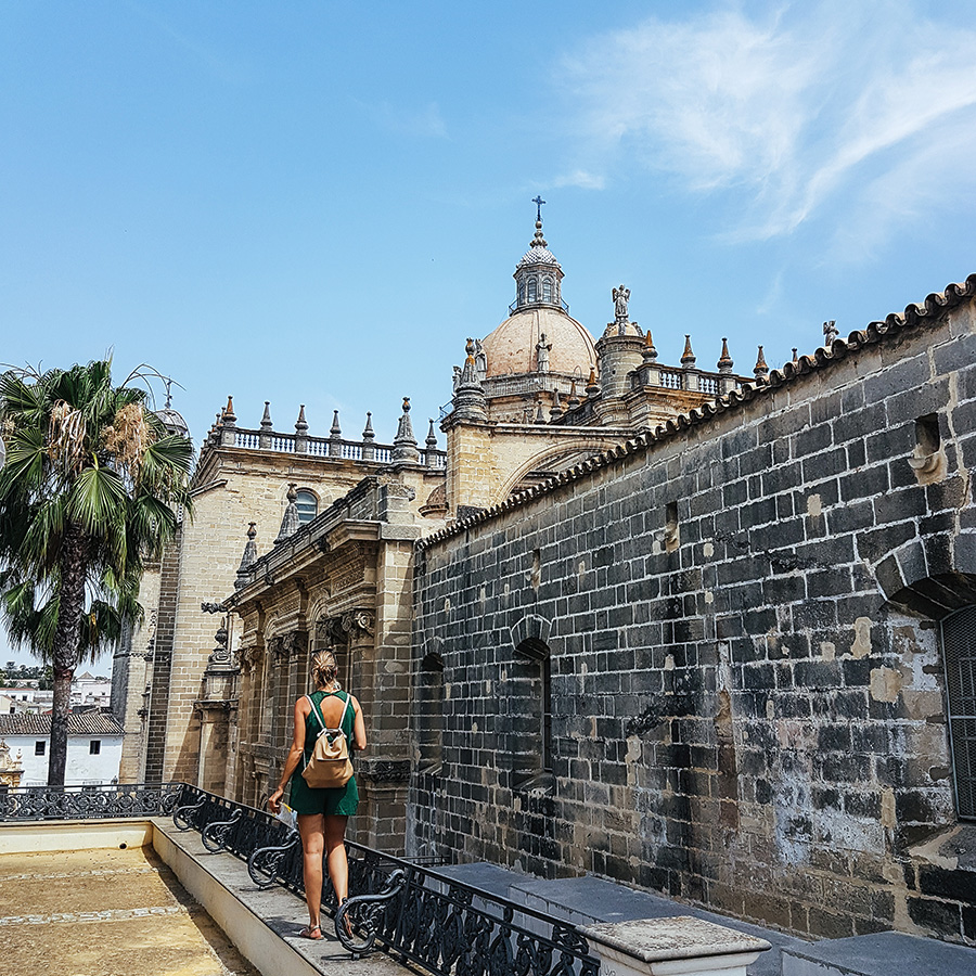 berries&passion_Andalusien10