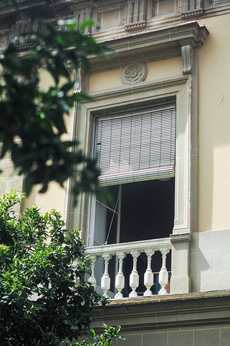 berries&passion_Andalusien12