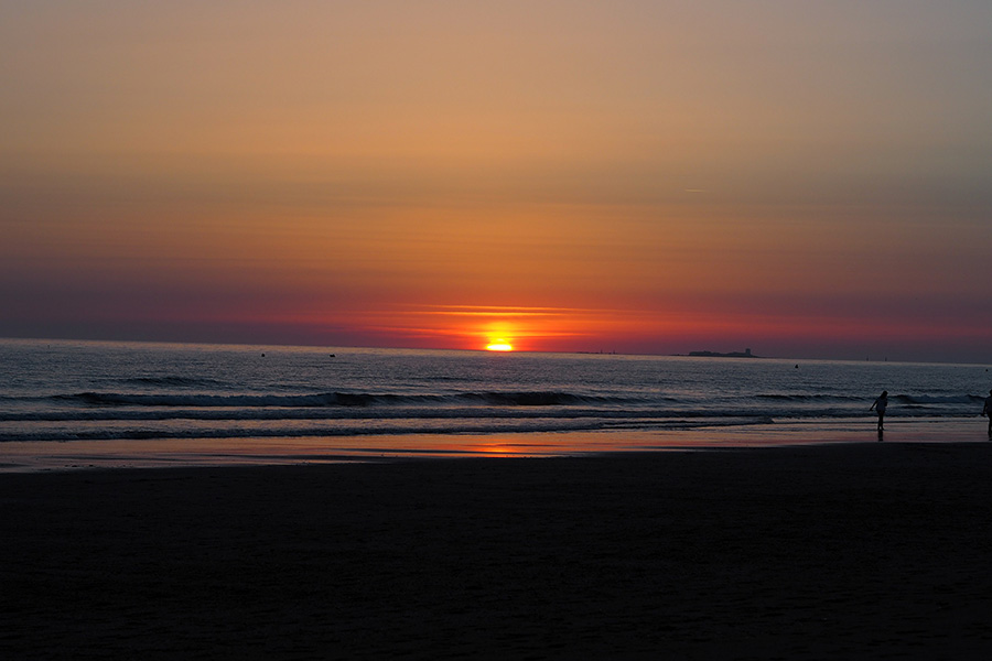 berries&passion_Andalusien17