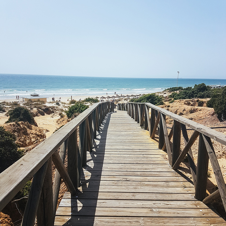 berries&passion_Andalusien20