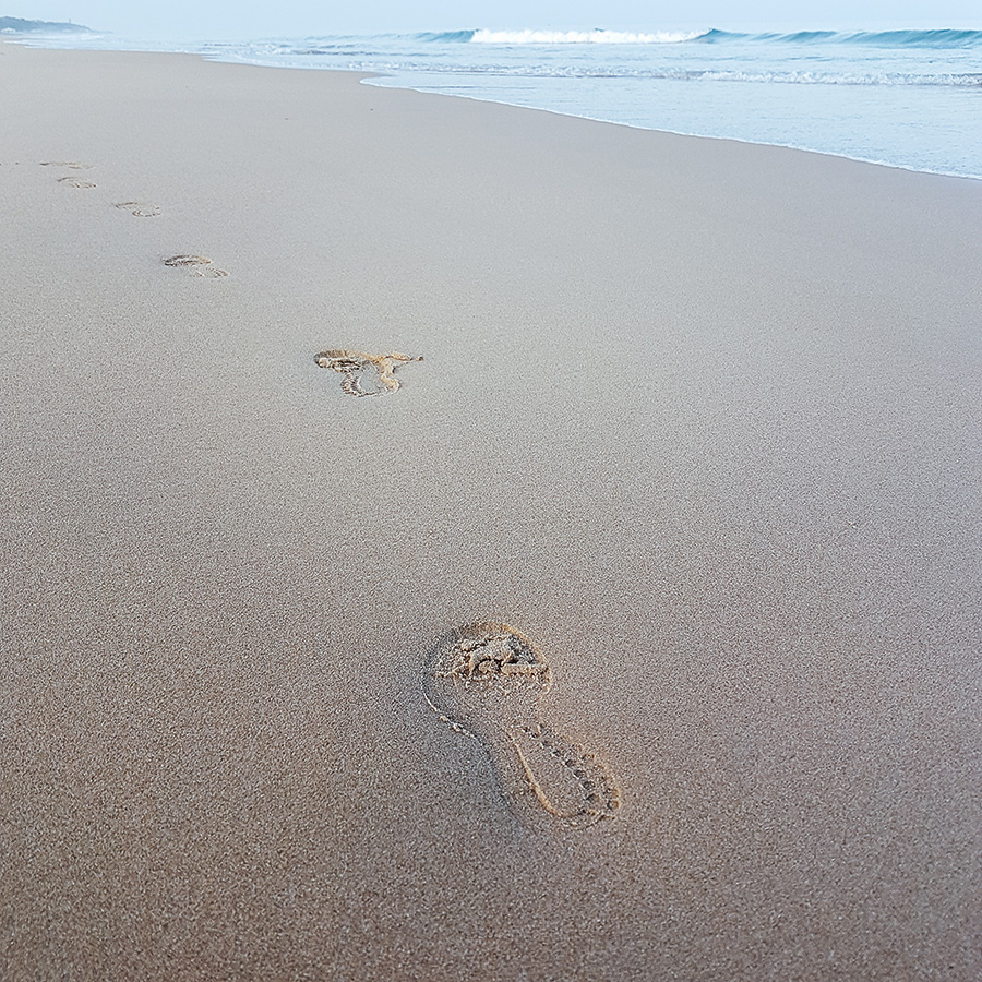 berries&passion_Andalusien4