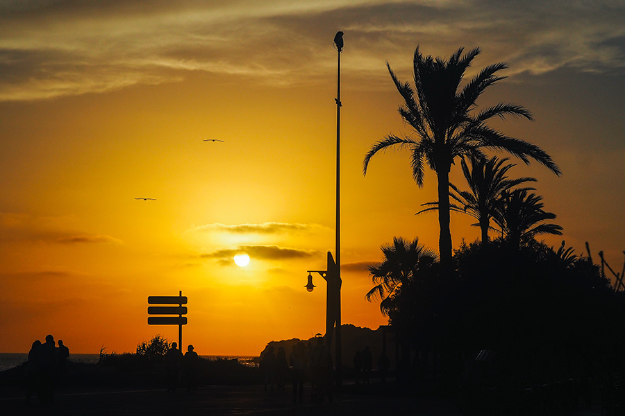 berries&passion_Andalusien6