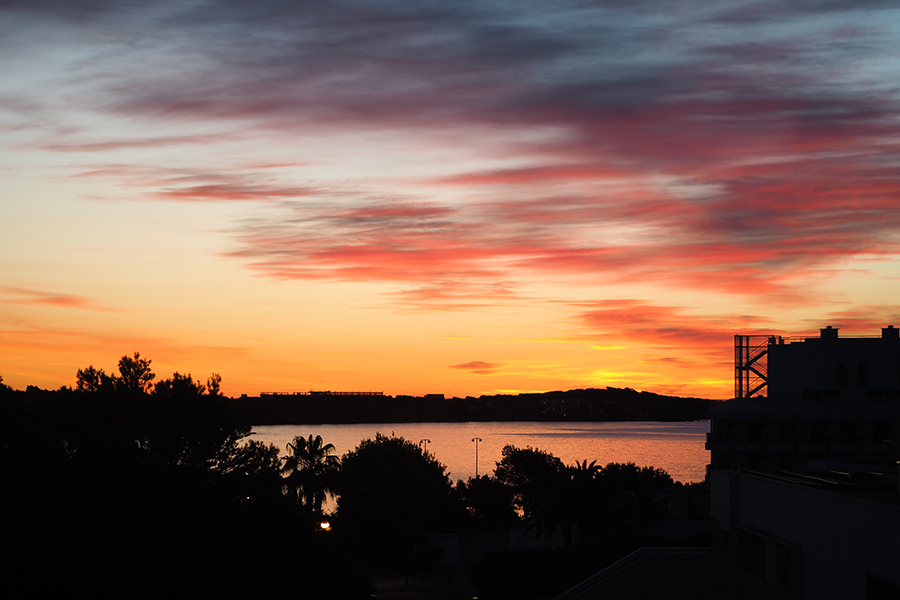 berries&passion_summerbucketlist2