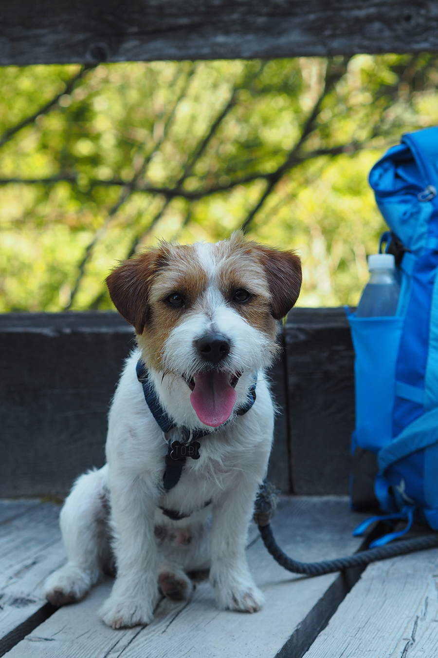 berries&passion_summerbucketlist5