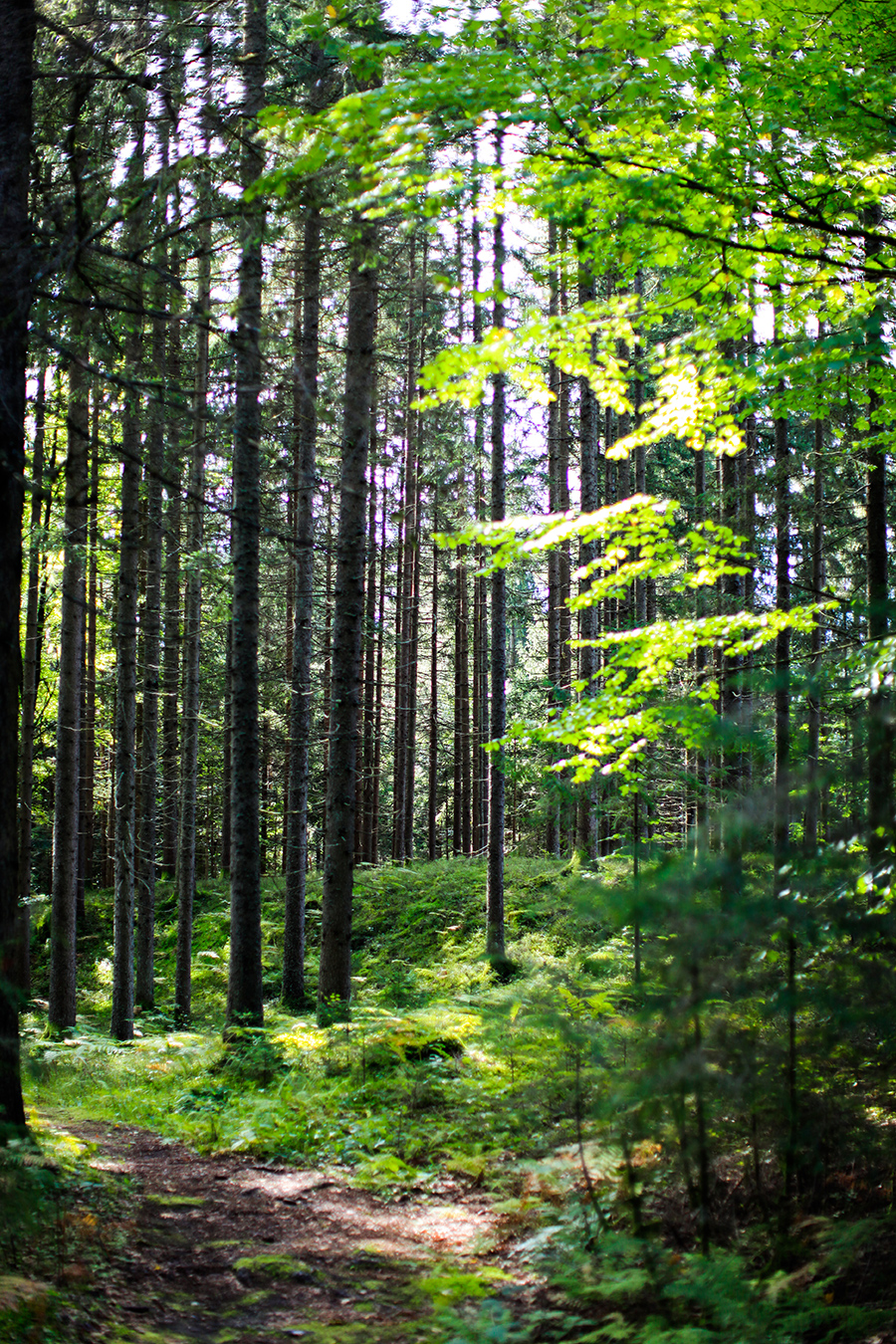 berries&passion_summerbucketlist8