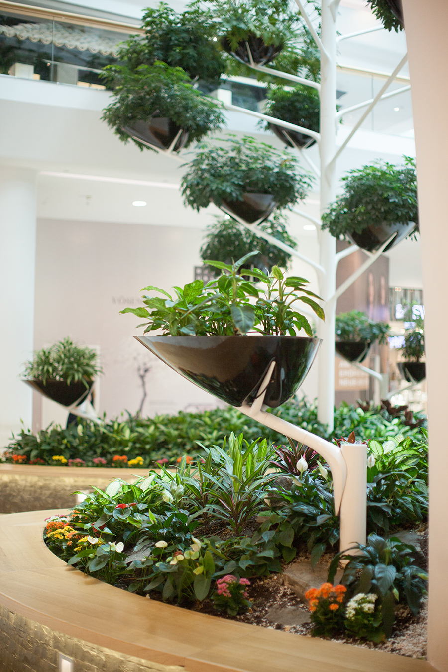 berries&passion_SCS22