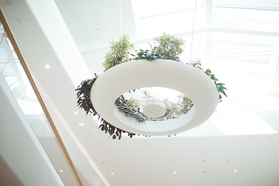 berries&passion_SCS4