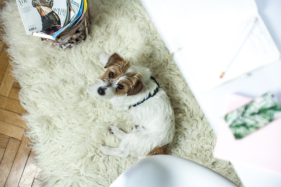 berries&passion_homeoffice6