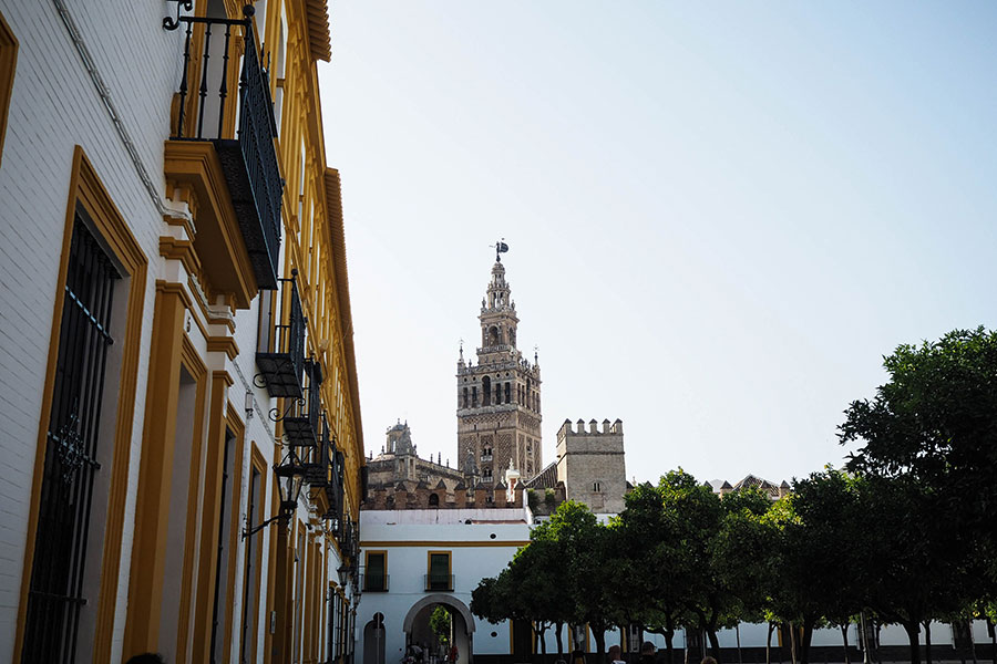 berries&passion_sevilla15