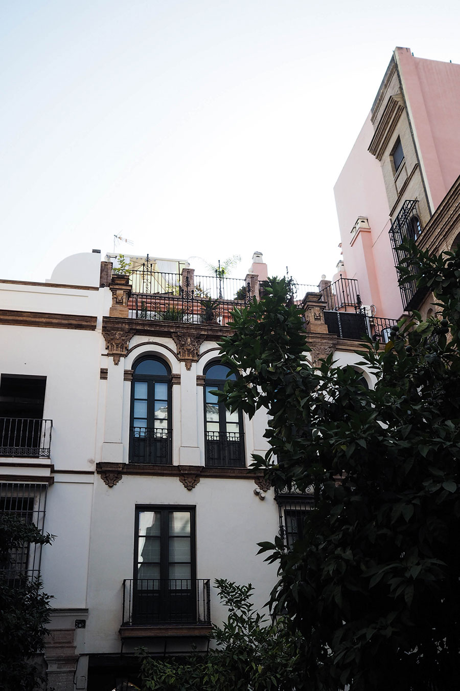 berries&passion_sevilla17