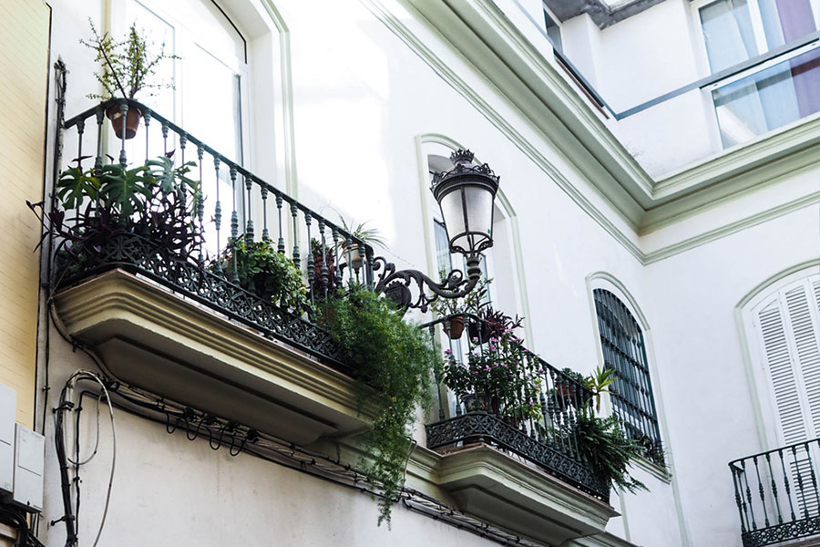 berries&passion_sevilla18