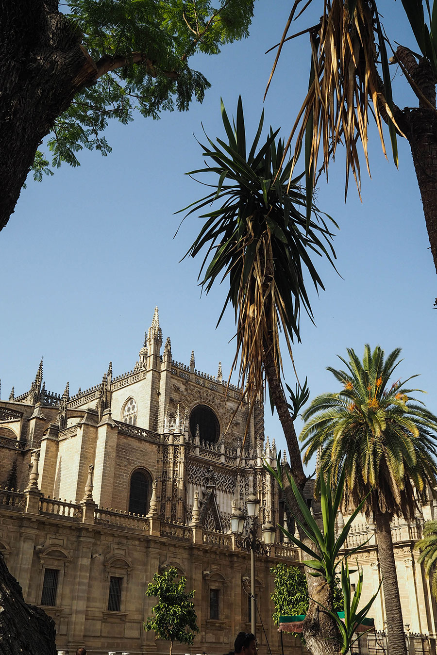 berries&passion_sevilla2