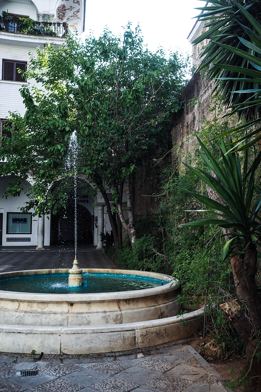 berries&passion_sevilla8