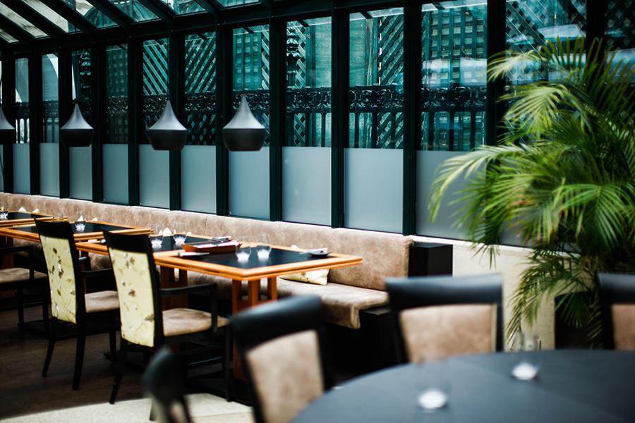 berries&passion_clementine-im-Glashaus3