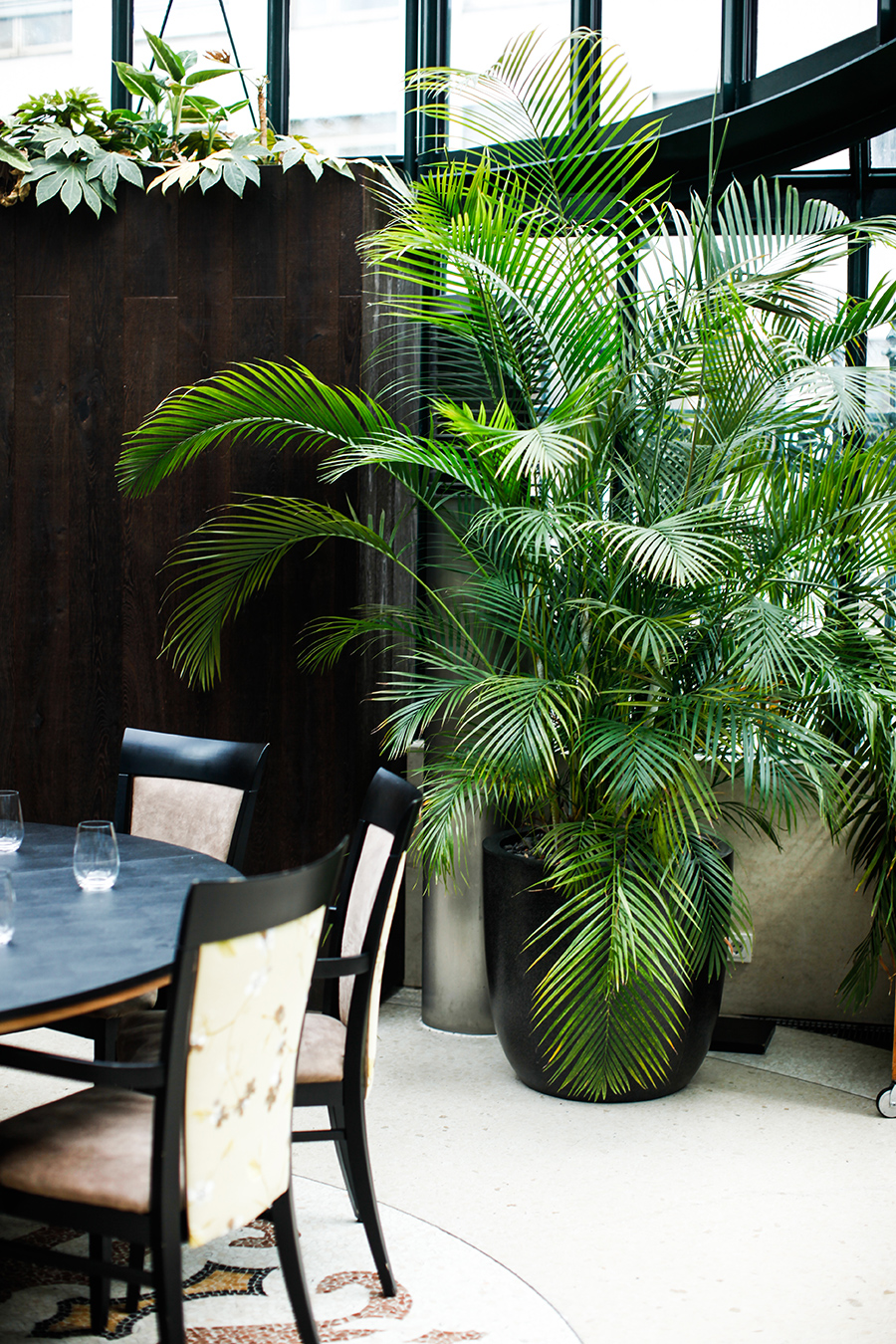 berries&passion_clementine-im-Glashaus5