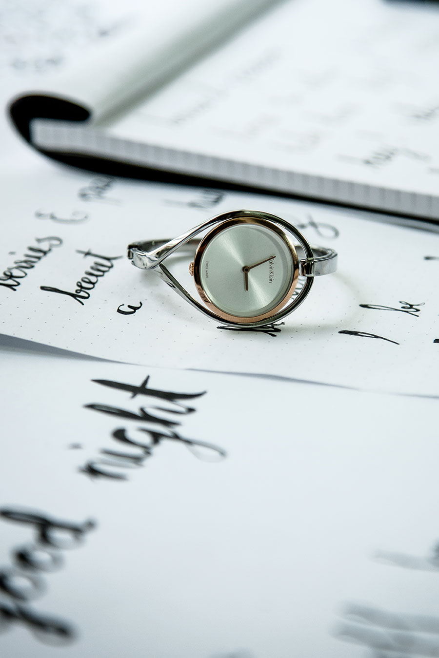 berriespassion_calvin-klein6