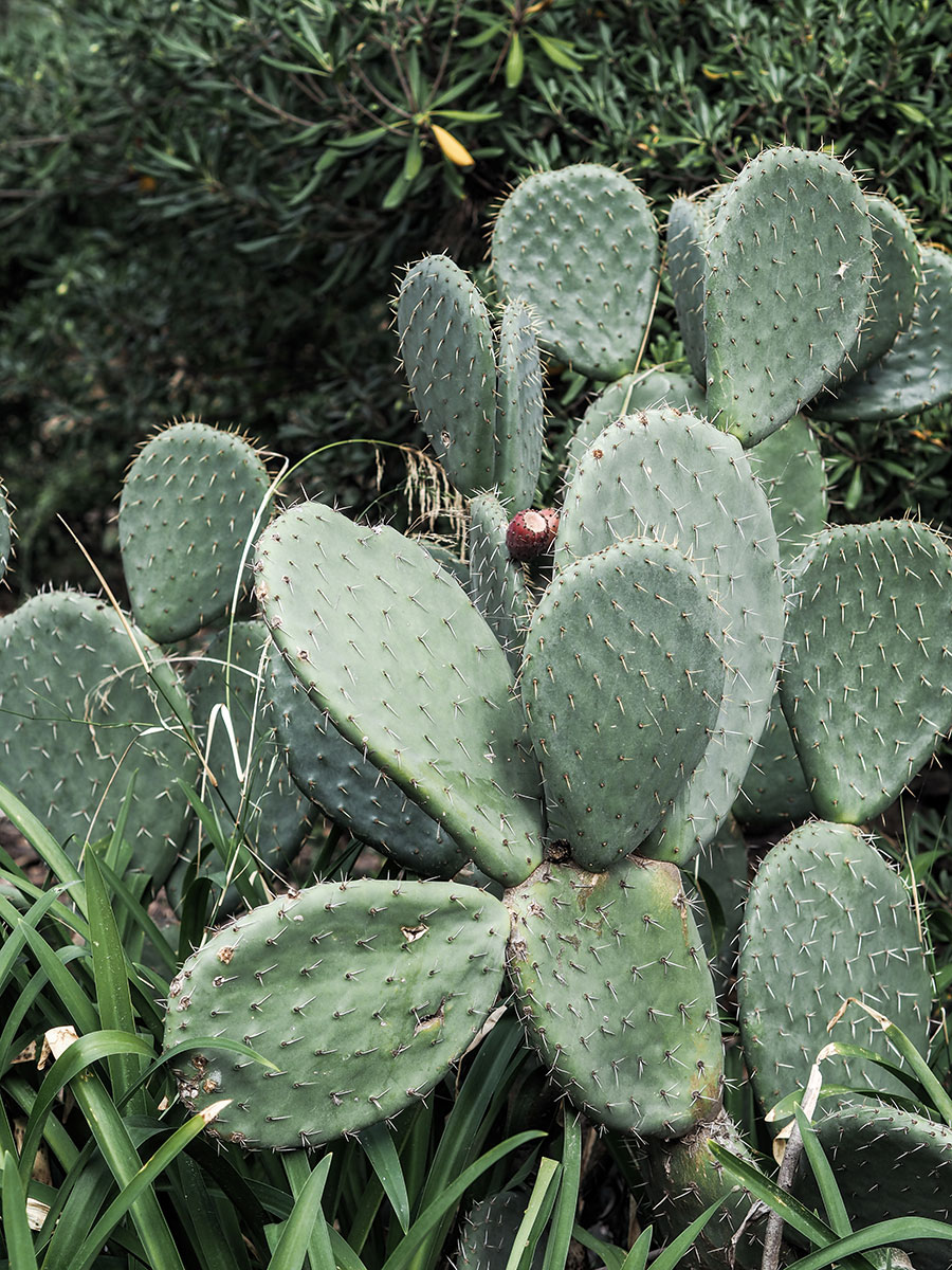 berriespassion_cotedazur32