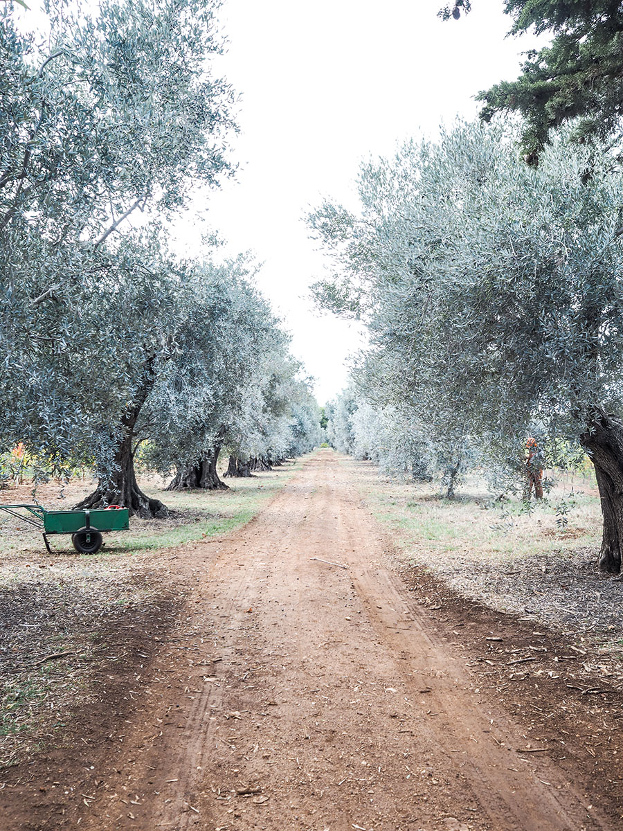 berriespassion_cotedazur35