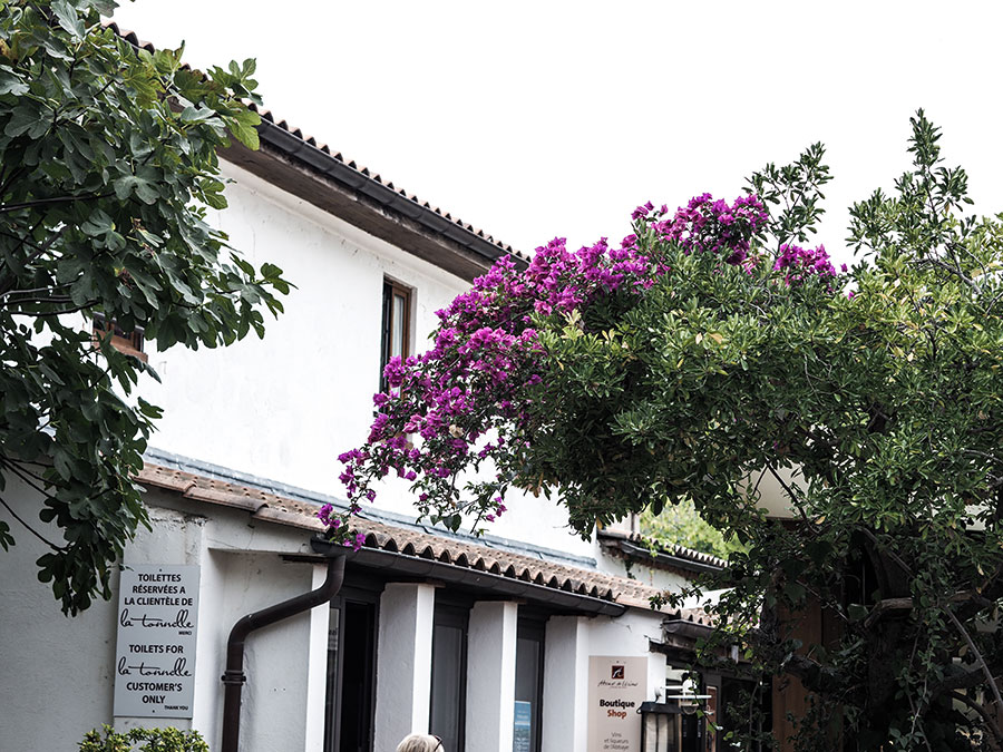 berriespassion_cotedazur39