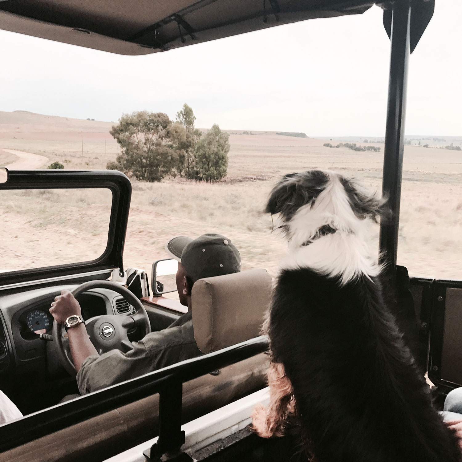 berriesandpassion_lifeupdate7