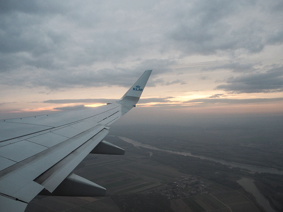 berriespassion_fourpaws_bakari1