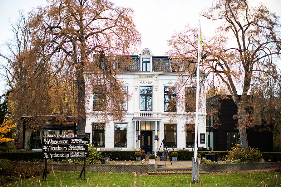 berriespassion_fourpaws_bakari2