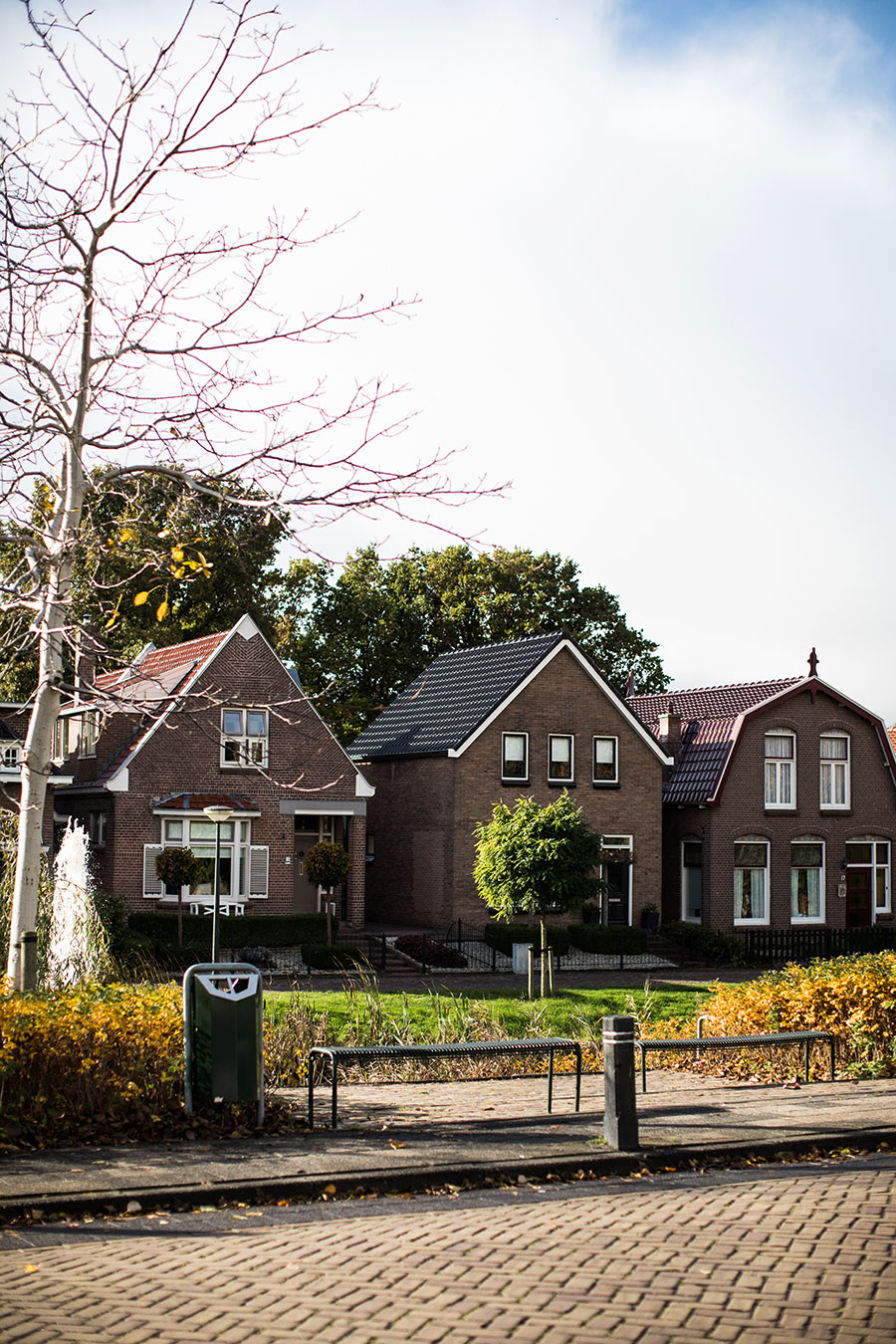 berriespassion_fourpaws_felida11