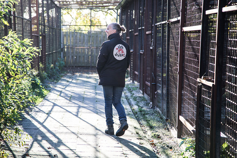 berriespassion_fourpaws_felida18