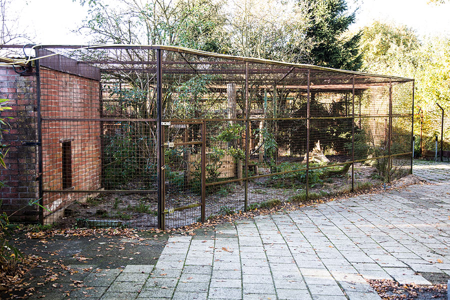 berriespassion_fourpaws_felida22