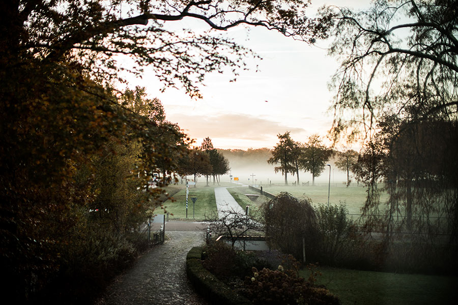 berriespassion_fourpaws_felida23