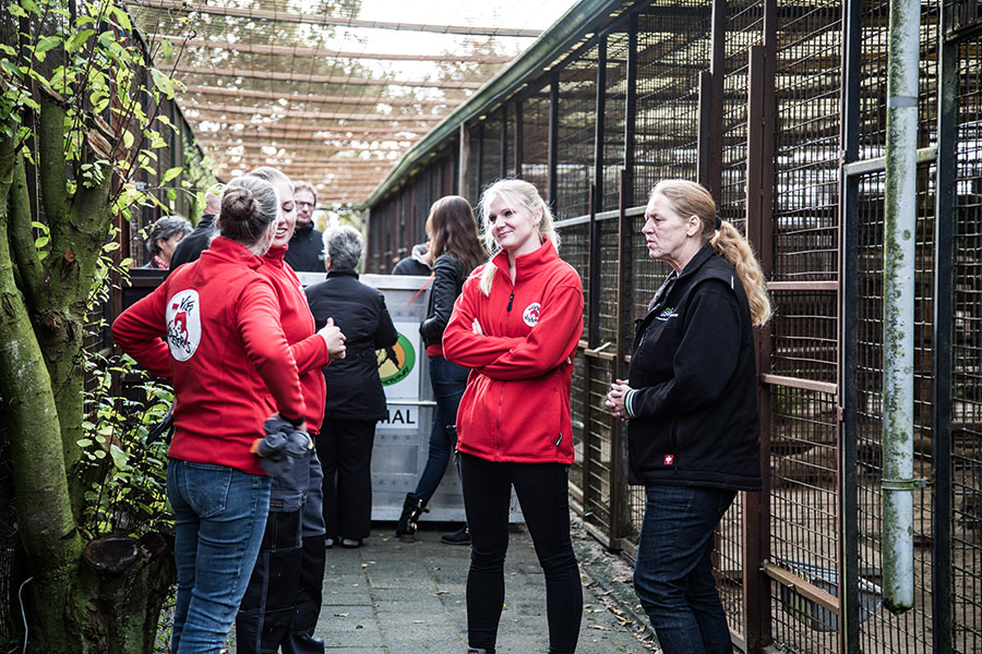 berriespassion_fourpaws_felida24