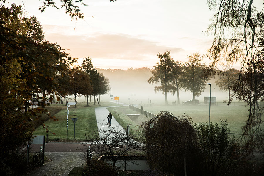 berriespassion_fourpaws_bakari12