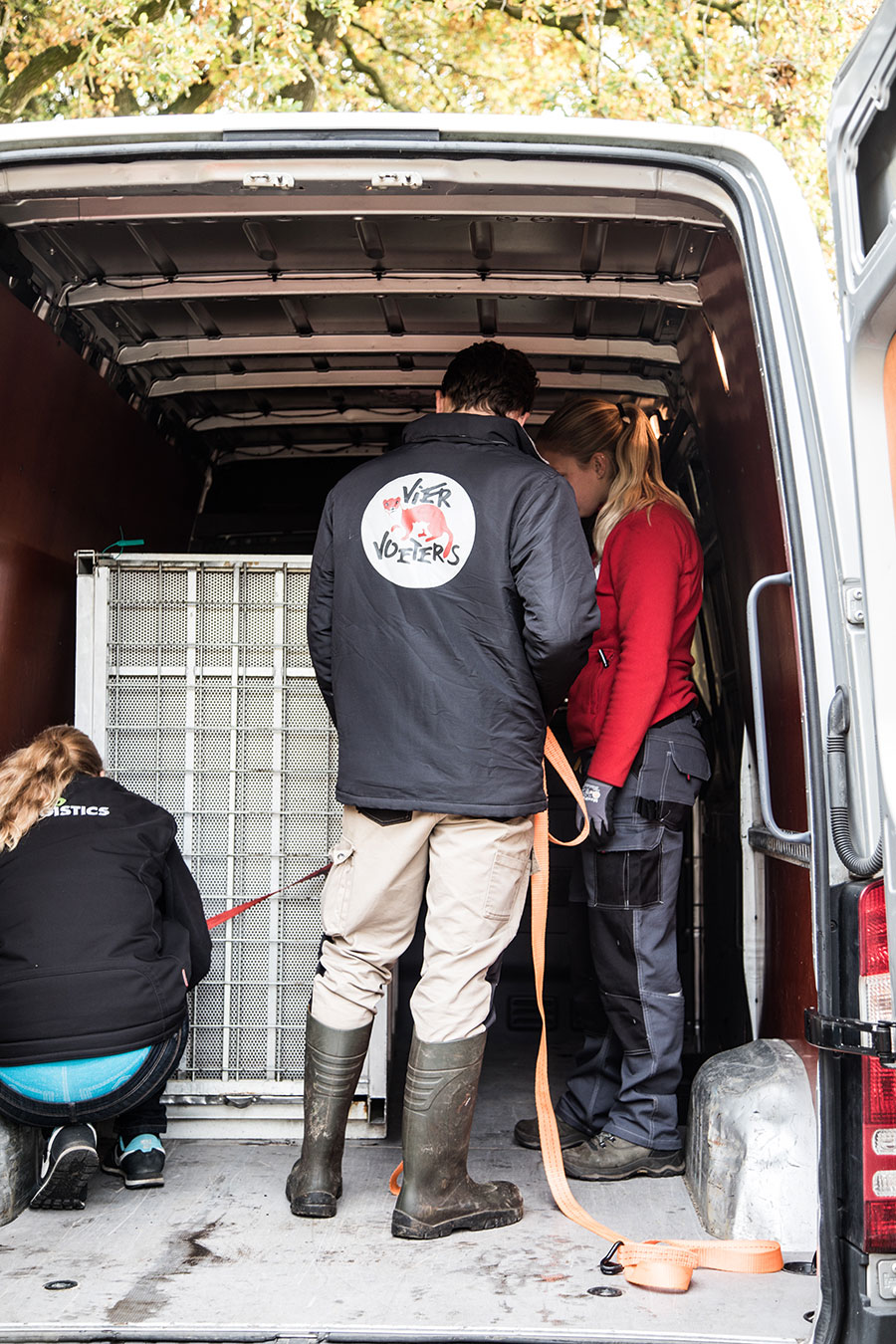 berriespassion_fourpaws_bakari17