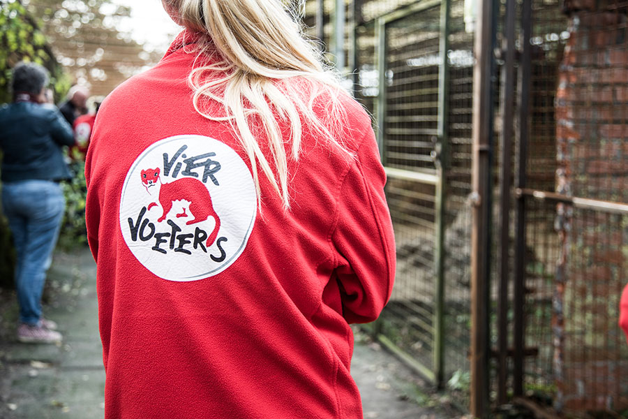 berriespassion_fourpaws_bakari19