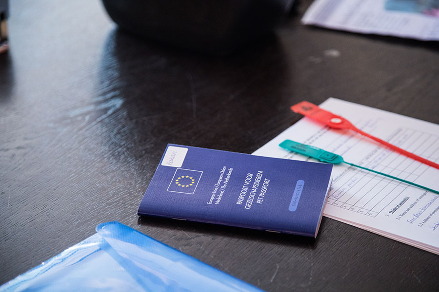 berriespassion_fourpaws_bakari25