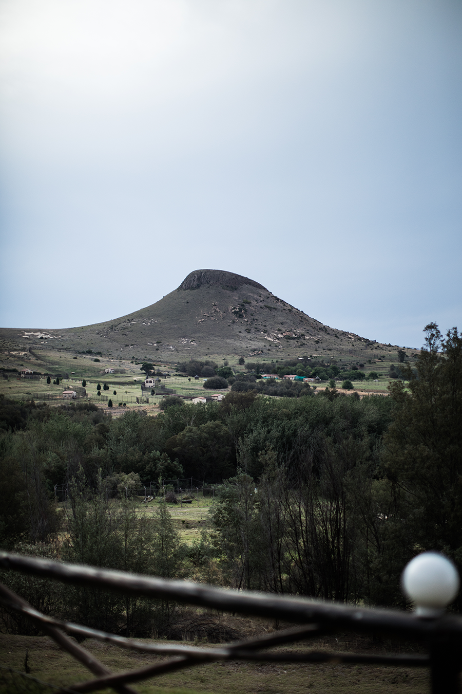 berriespassion_fourpaws_bakari31