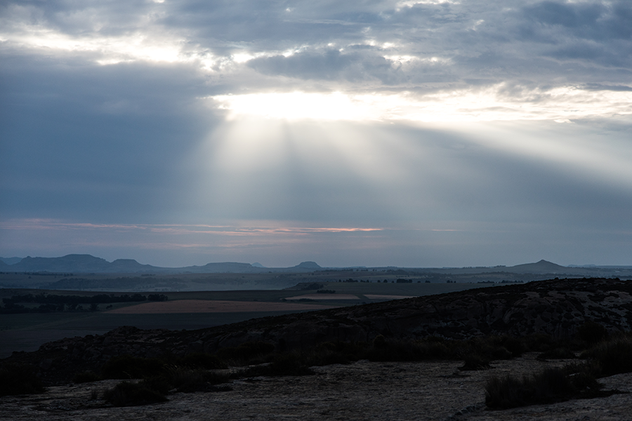 berriespassion_fourpaws_bakari34