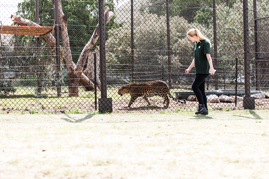 berriespassion_fourpaws_bakari39