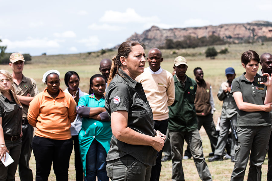 berriespassion_fourpaws_bakari45