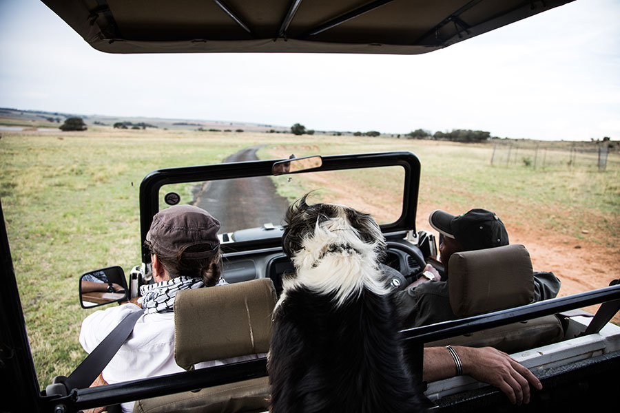 berriespassion_fourpaws_bakari47