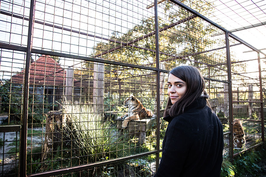 berriespassion_fourpaws_bakari5