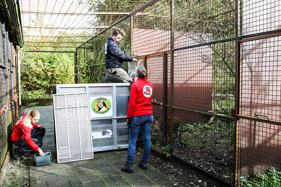 berriespassion_jeanine-noodermeer-four-paws