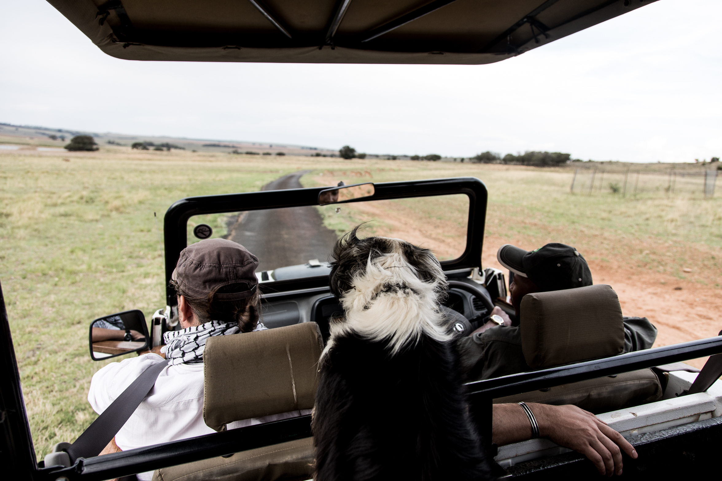 berriespassion_lionsrock-15